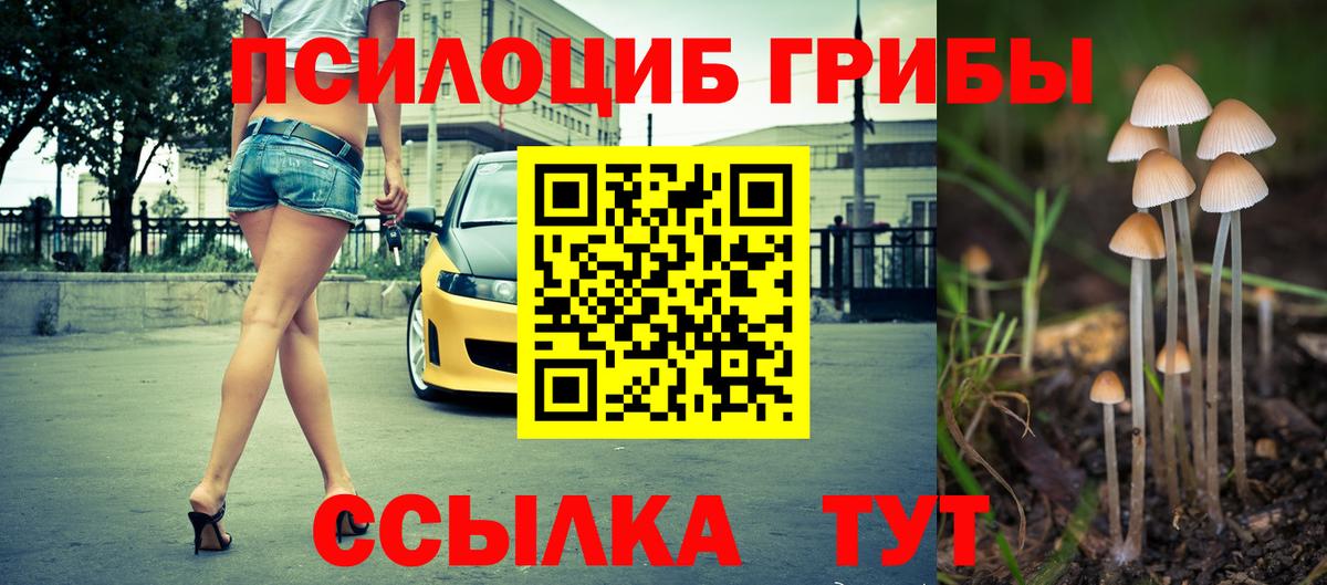 Будённовск  Вход с VPN  КОКАИН  АМФ   МЕФ кристаллы  Гашиш  Бошки Шишки  ЭКСТАЗИ  MDMA  МЕТ 