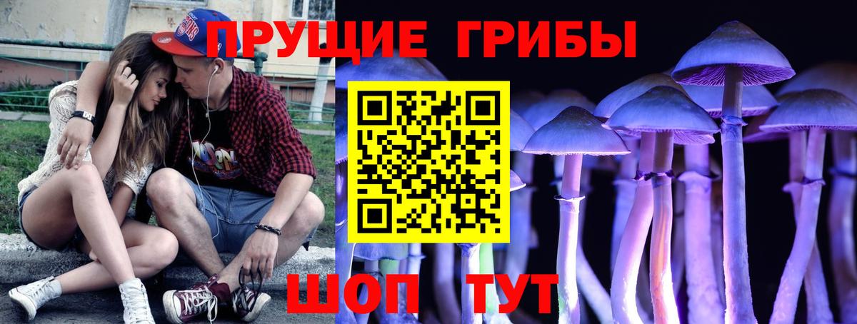 Галлюциногенные грибы прущие грибы Будённовск