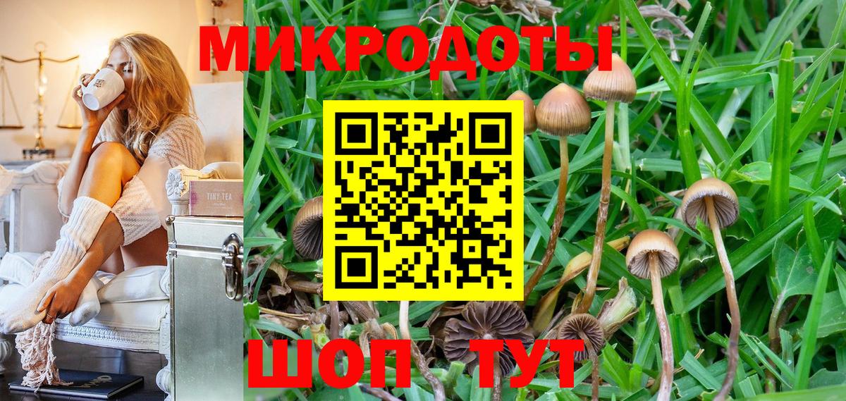 Будённовск  Псилоцибиновые грибы прущие грибы  Вход с VPN 
